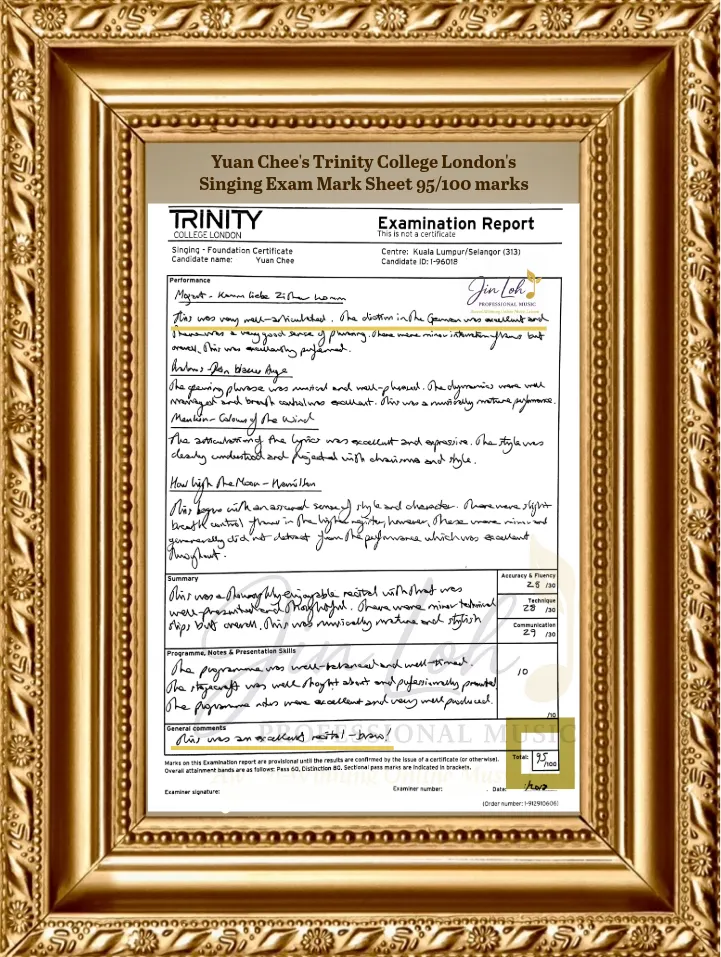 95 Marks High Scorer Mark Sheet Jane Kong (WEBP) 95 Marks High Scorer Mark Sheet Jane Kong (WEBP)